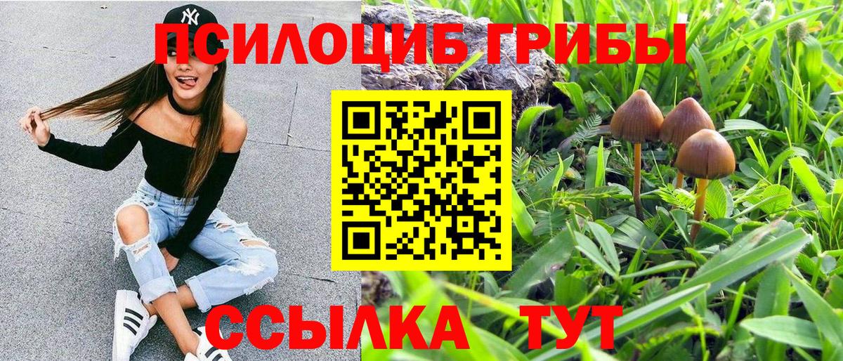 Галлюциногенные грибы MAGIC MUSHROOMS Архангельск